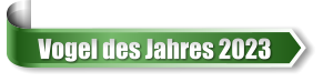 Vogel des Jahres 2023
