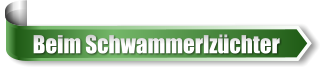 Beim Schwammerlz�chter